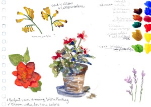 Sketch pot and colors